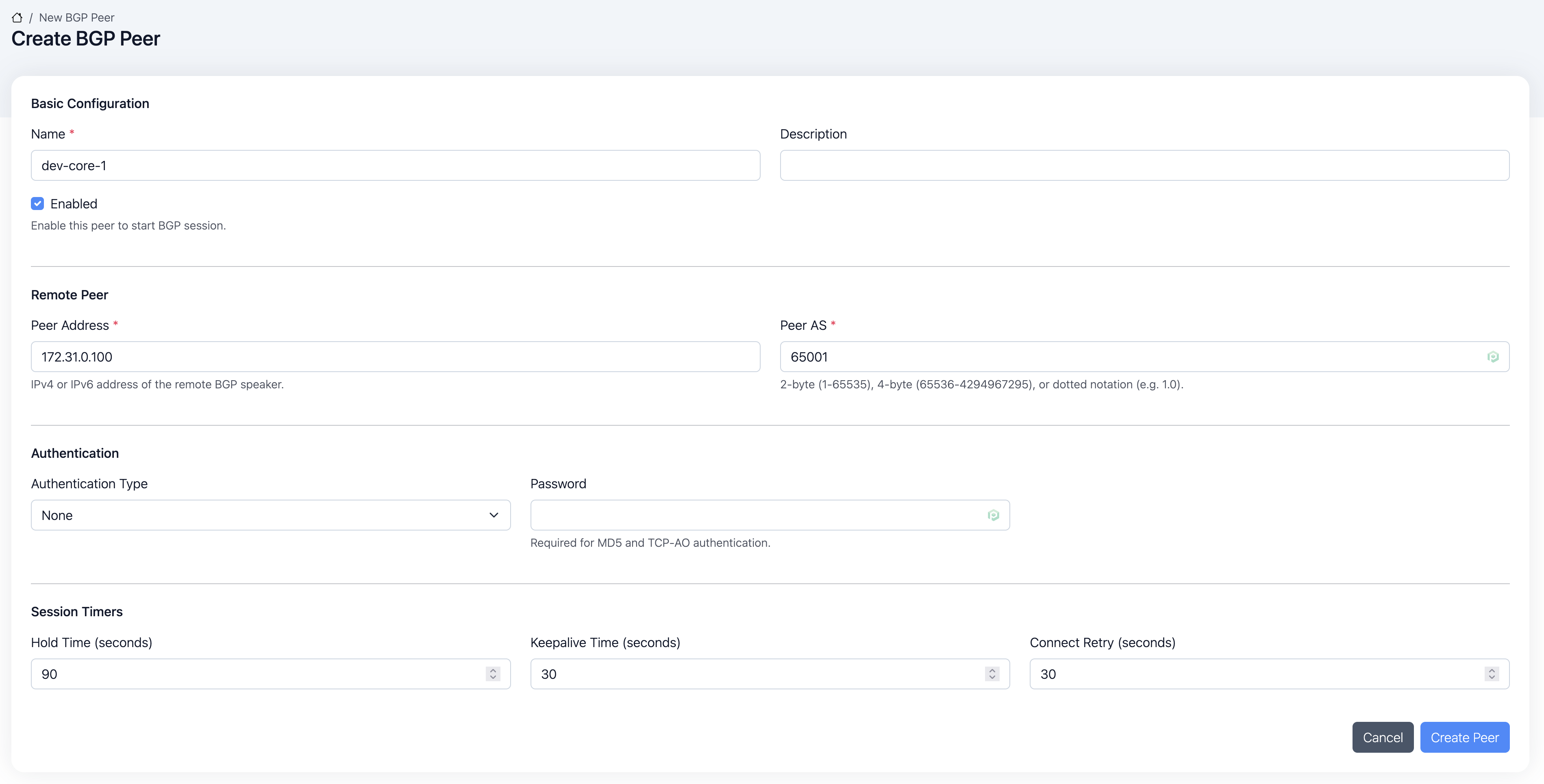 New peer form filled with example values