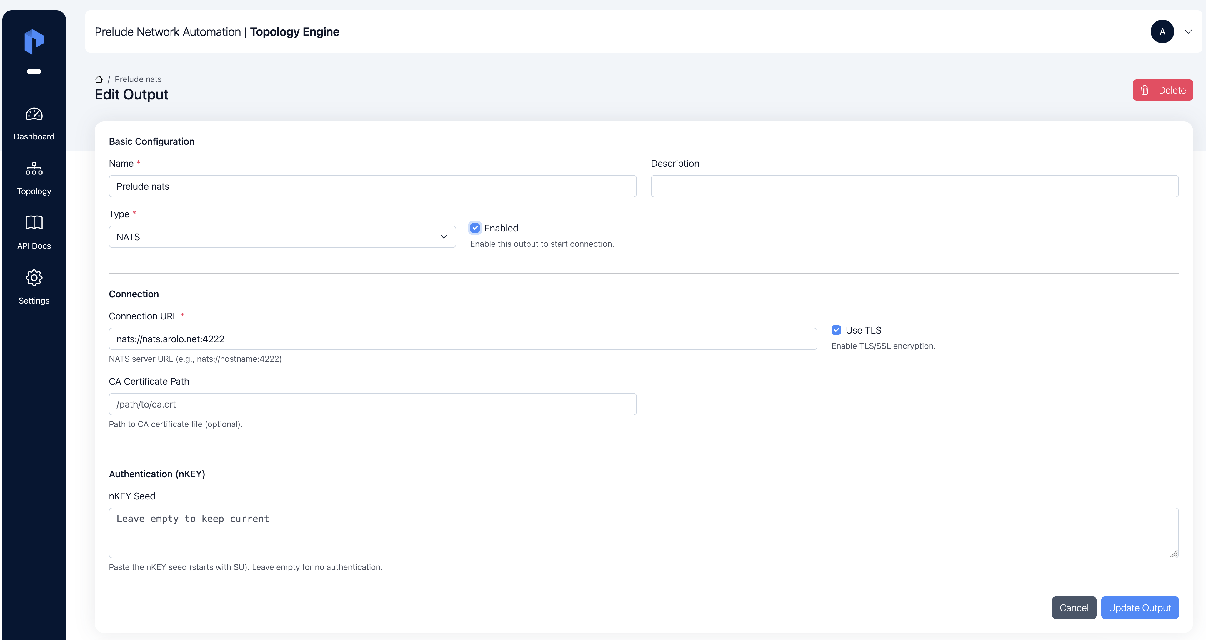 New output form filled with NATS connection settings